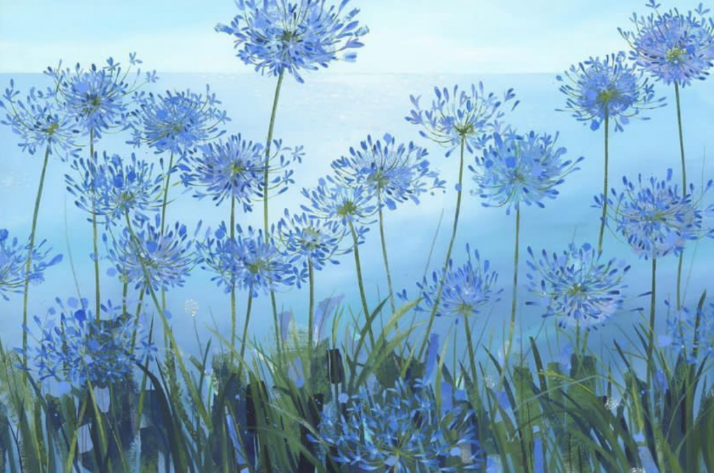 Agapanthus painted