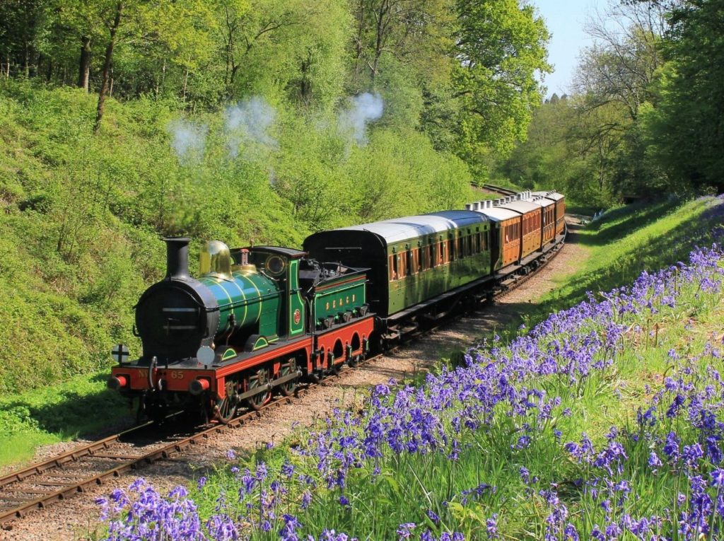 Railway bluebells