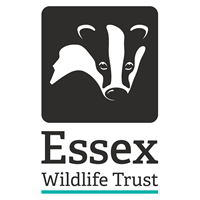 Essex wildlife trust