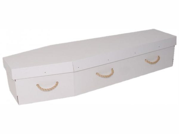 Lily white cardboard coffin