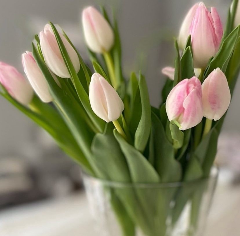 Pale tulips vase